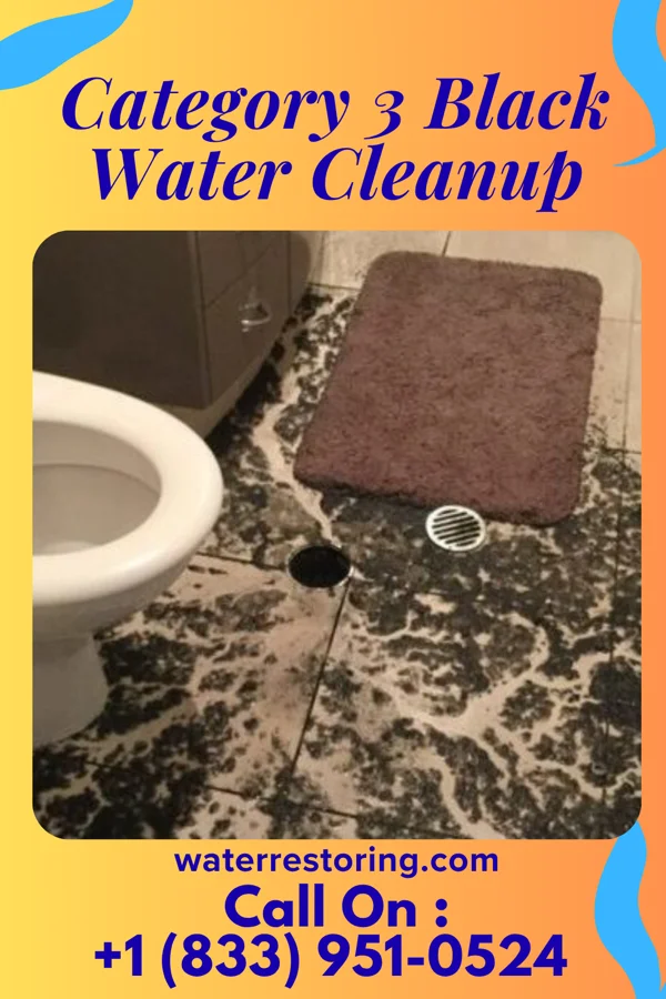 Category 3 Black Water Cleanup in Union, SC