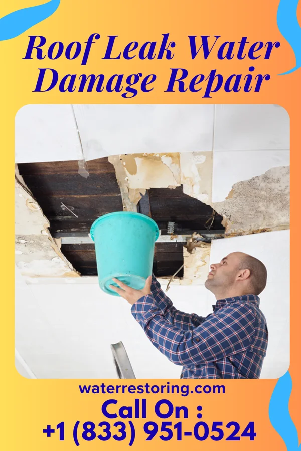 Roof Leak Water Damage Repair in Union, SC